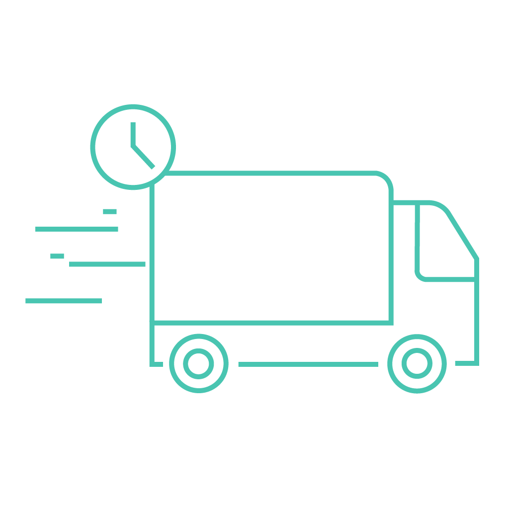 Pictogram fast delivery